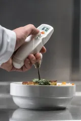 Testo 205 Et ve Gıda İçin pH metre / Sıcaklık Ölçer