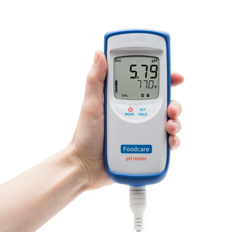 HANNA Gıda pH Metresi  -2.00... 16.00 pH HI99161