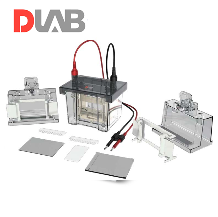 DLAB DL-Mini01 Dikey Elektroforez Tankı (Çift Plaka)