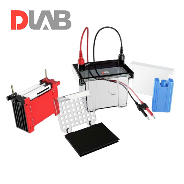 DLAB DL-ZY02 Transfer Elektroforez Tankı