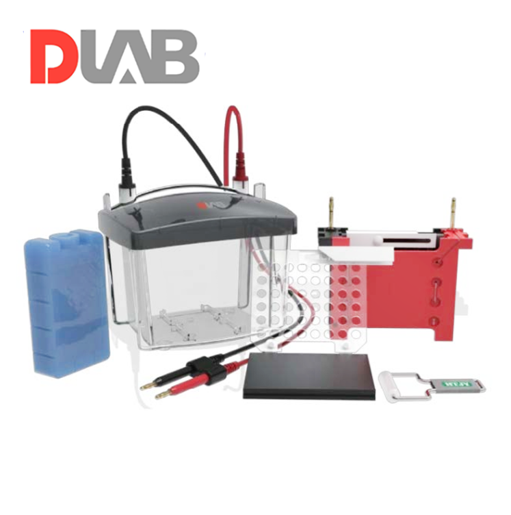 DLAB DL-ZY03 Transfer Elektroforez Tankı