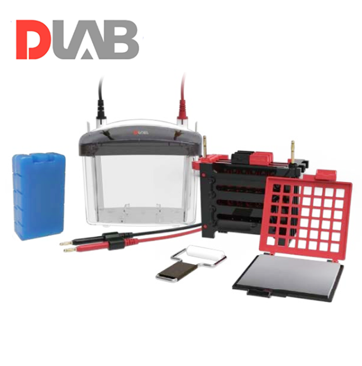 DLAB DL-ZY04 Transfer Elektroforez Tankı