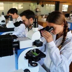 OPTIKA B-382PL-ALC Binoküler Mikroskop 1000x Büyütmeli - Otomatik Işık Kontrollü